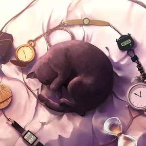 海角小马拉大车
