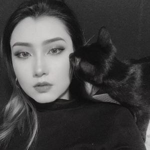 海角小马拉大车
